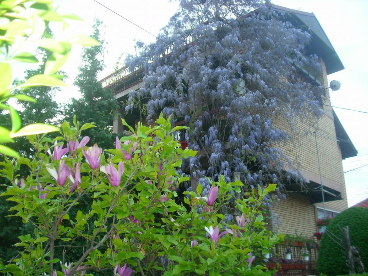 Apartman Wisteria Vranje Exterior photo