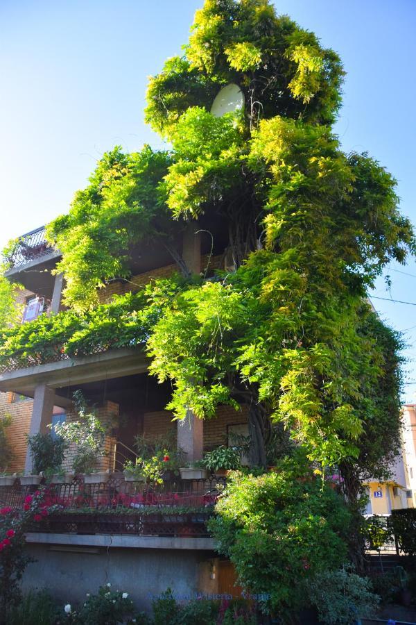 Apartman Wisteria Vranje Exterior photo