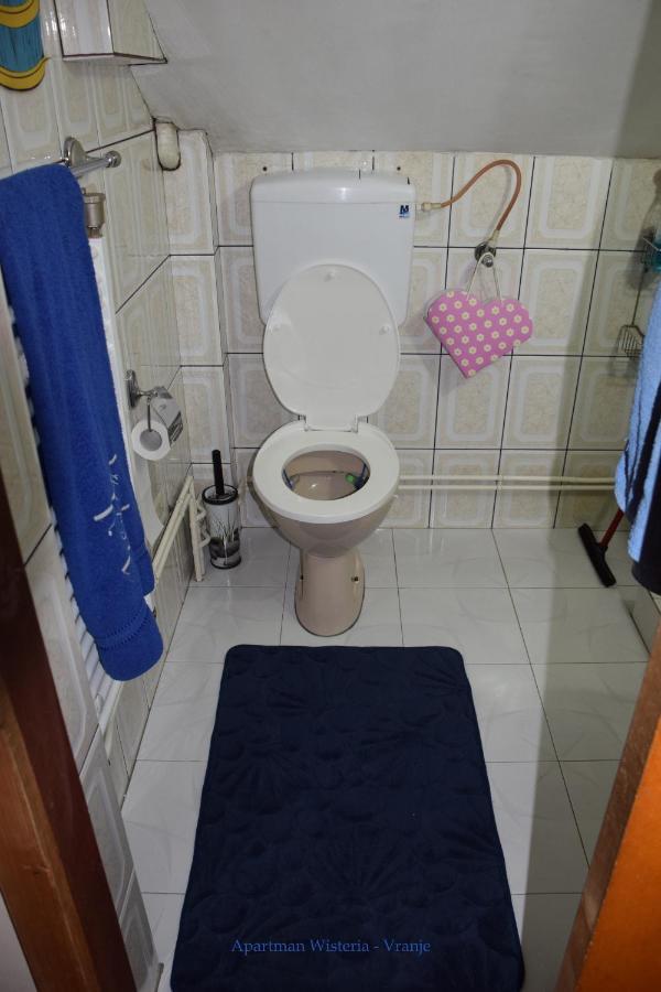 Apartman Wisteria Vranje Exterior photo