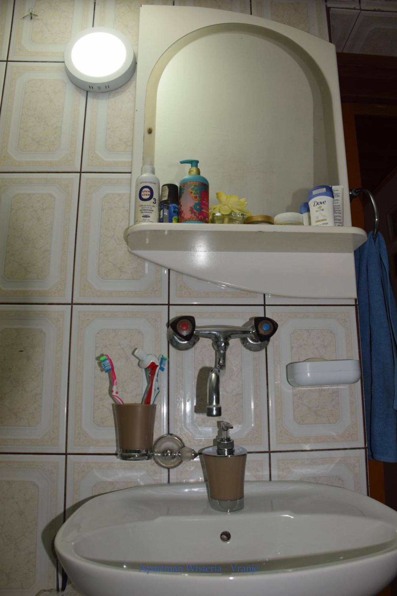 Apartman Wisteria Vranje Exterior photo